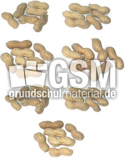 Erdnüsse-7x6.jpg